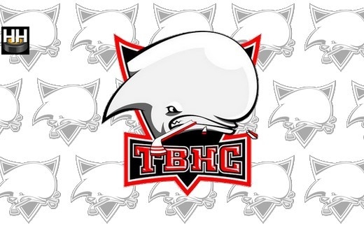 Photo hockey Toulouse annonce son nouveau coach - Division 2 : Toulouse-Blagnac (Les Belougas)