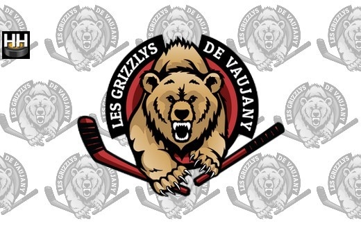Photo hockey VAUJANY - Le programme de préparation - Division 2 : Vaujany (Les Grizzlys)