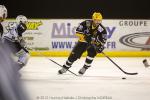 Photo hockey album [Carré Final D3] Strasbourg - Briançon