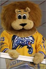 Photo hockey album D3 - Carré Final Tours 2011 - Come Back