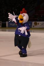 Photo hockey album EDF - France VS Norvège (Lyon)