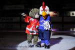Photo hockey album EDF - France VS Slovénie (Valence)