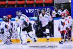 Photo hockey album EDF:france-suisse(à grenoble)