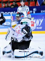 Photo hockey album EDF:france-suisse(à grenoble)