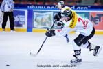 Photo hockey album EDF:france-suisse(à grenoble)