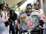 Photo hockey album EDF:france-suisse(à grenoble)