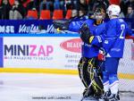 Photo hockey album EDF:france-suisse(à grenoble)