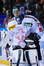 Photo hockey album EDF:france-suisse(à grenoble)