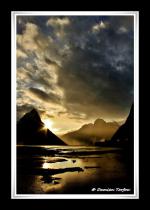 Photo hockey album Nouvelle-Zélande - Damien Torfou