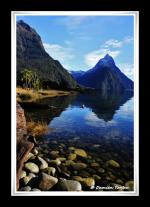 Photo hockey album Nouvelle-Zélande - Damien Torfou