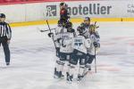 Photo hockey match Amiens  - Marseille le 24/10/2025