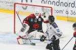 Photo hockey match Amiens  - Marseille le 24/10/2025