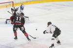 Photo hockey match Amiens  - Marseille le 24/10/2025