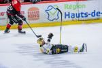 Photo hockey match Amiens  - Rouen le 31/01/2025