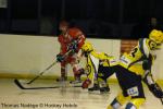 Photo hockey match Amnéville - Viry-Châtillon le 29/01/2011