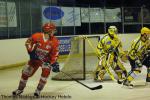 Photo hockey match Amnéville - Viry-Châtillon le 29/01/2011
