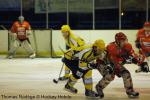 Photo hockey match Amnéville - Viry-Châtillon le 29/01/2011