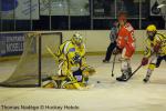Photo hockey match Amnéville - Viry-Châtillon le 29/01/2011