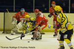 Photo hockey match Amnéville - Viry-Châtillon le 29/01/2011