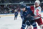 Photo hockey match Angers  - ACS Gyergyói HK  le 15/11/2025