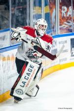 Photo hockey match Angers  - Bordeaux le 28/11/2025