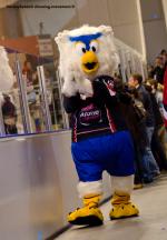 Photo hockey match Angers  - Briançon  le 29/03/2014