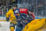 Photo hockey match Angers  - Rouen le 16/02/2026