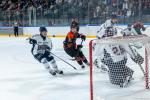 Photo hockey match Angers  - Trois-Rivières le 26/08/2025