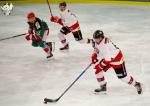 Photo hockey match Anglet - Briançon  le 06/03/2020