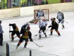 Photo hockey match Besançon - Briançon II le 05/02/2011