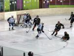 Photo hockey match Besançon - Briançon II le 05/02/2011