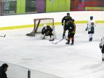 Photo hockey match Besançon - Champigny-sur-Marne le 21/02/2015
