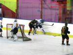 Photo hockey match Besançon - Champigny-sur-Marne le 21/02/2015
