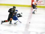Photo hockey match Besançon - Champigny-sur-Marne le 21/02/2015