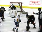 Photo hockey match Besançon - Champigny-sur-Marne le 21/02/2015