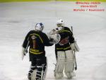Photo hockey match Besançon - Champigny-sur-Marne le 21/02/2015