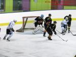Photo hockey match Besançon - Colmar le 25/01/2014