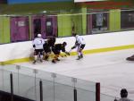 Photo hockey match Besançon - Colmar le 25/01/2014