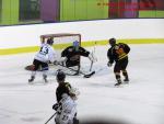 Photo hockey match Besançon - Colmar le 25/01/2014