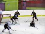 Photo hockey match Besançon - Colmar le 25/01/2014