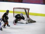Photo hockey match Besançon - Colmar le 25/01/2014