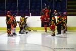 Photo hockey match Besançon - Colmar le 07/03/2026