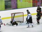 Photo hockey match Besançon - Dammarie-les-Lys le 21/12/2013
