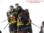 Photo hockey match Besançon - Dammarie-les-Lys le 21/12/2013