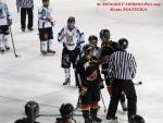 Photo hockey match Besançon - Dammarie-les-Lys le 21/12/2013