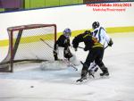 Photo hockey match Besançon - Dammarie-les-Lys le 10/01/2015