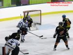 Photo hockey match Besançon - Dammarie-les-Lys le 10/01/2015