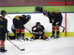 Photo hockey match Besançon - Dammarie-les-Lys le 10/01/2015