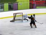 Photo hockey match Besançon - Dammarie-les-Lys le 10/01/2015