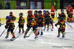 Photo hockey match Besançon - Dammarie-les-Lys le 13/04/2025